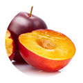Organic Plum Oil Lip Nutrition Eneomey